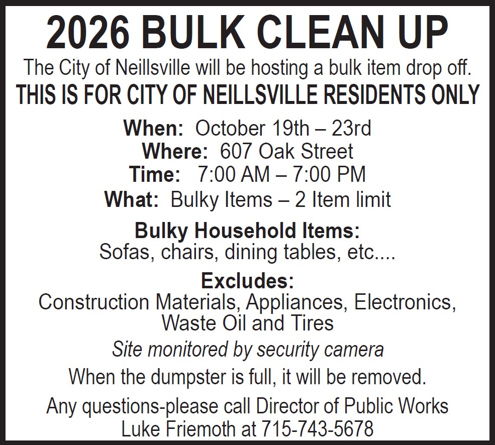 BULK CLEAN UP